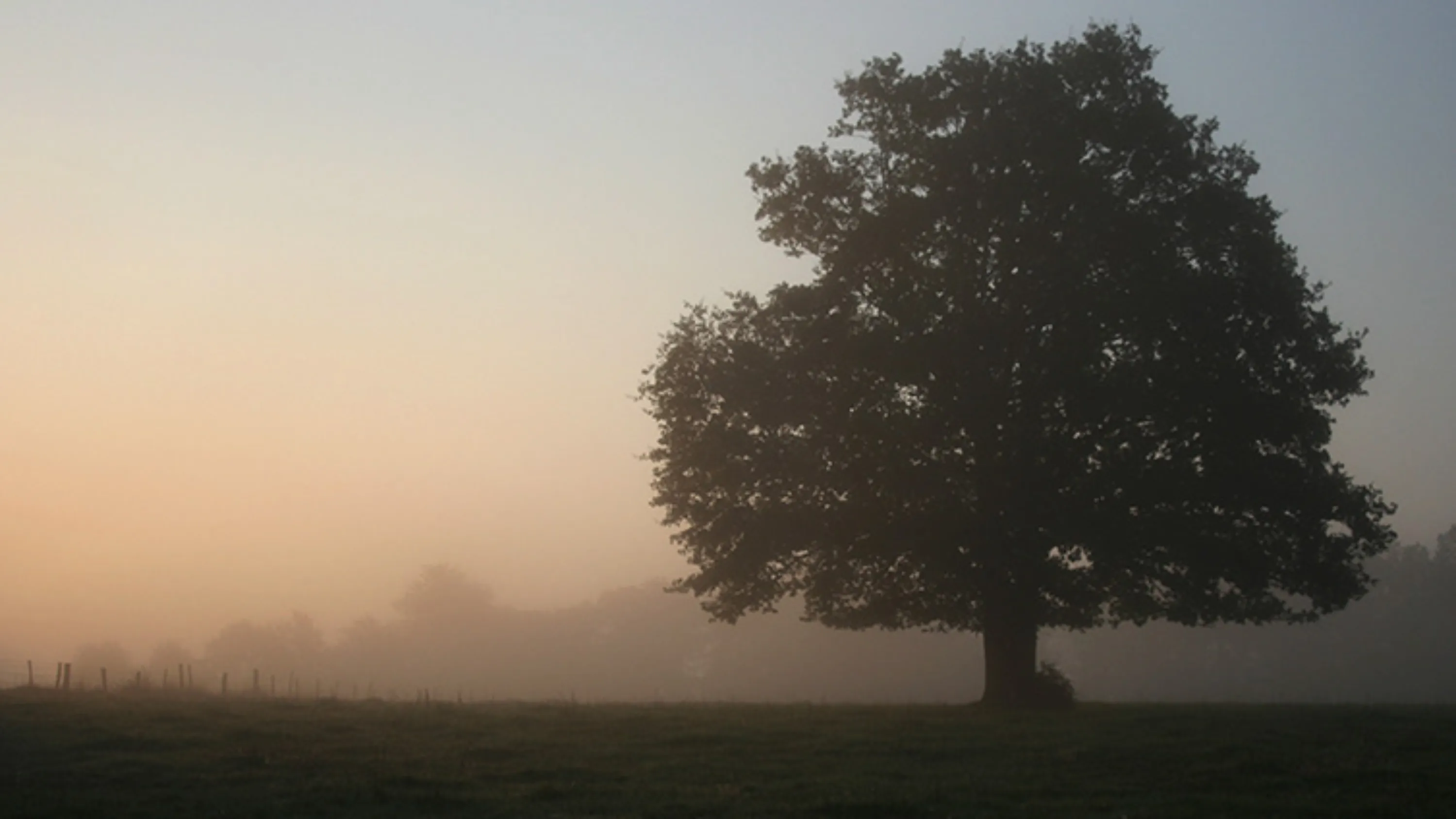vorsorge und pensionierung, nachlassverwaltung, pro senectute zug